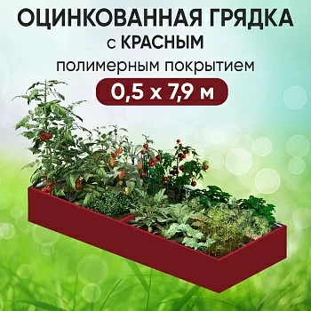 Грядка красная (0,5 х 7,9)